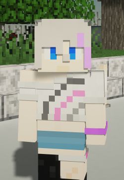 Potato Server Skin.jpg