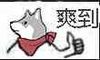 爽到.jpeg